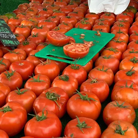 Club - With Seaview Apartamento