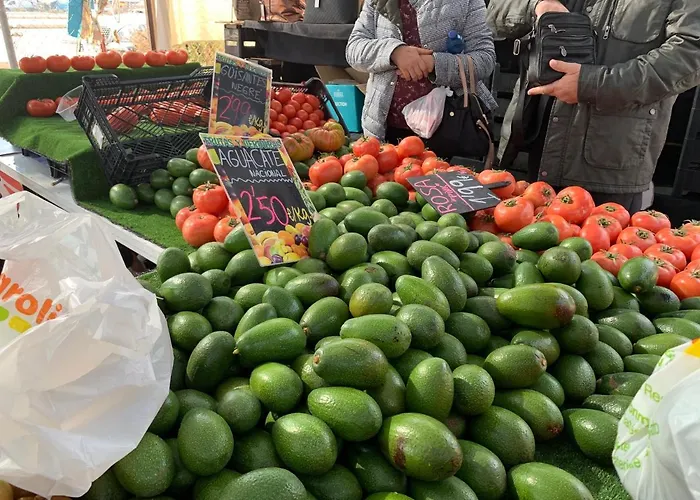 公寓 Club - With Seaview