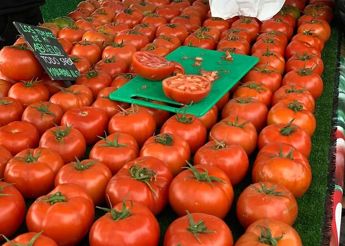 Club - With Seaview 公寓