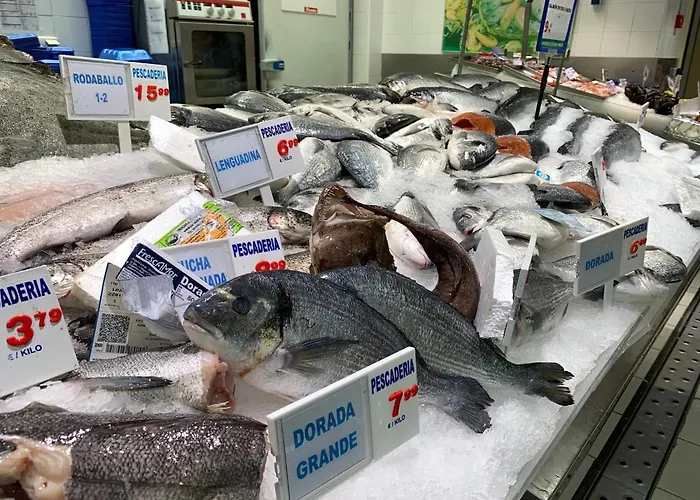 アパート Club - With Seaview